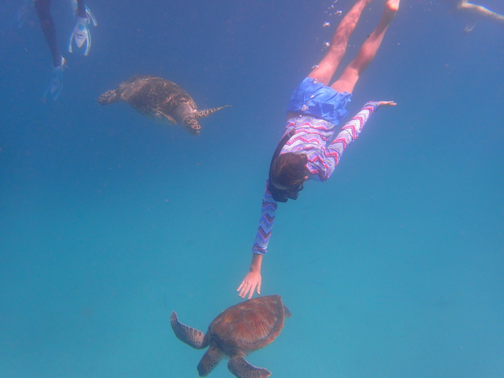 private catamaran cruises barbados