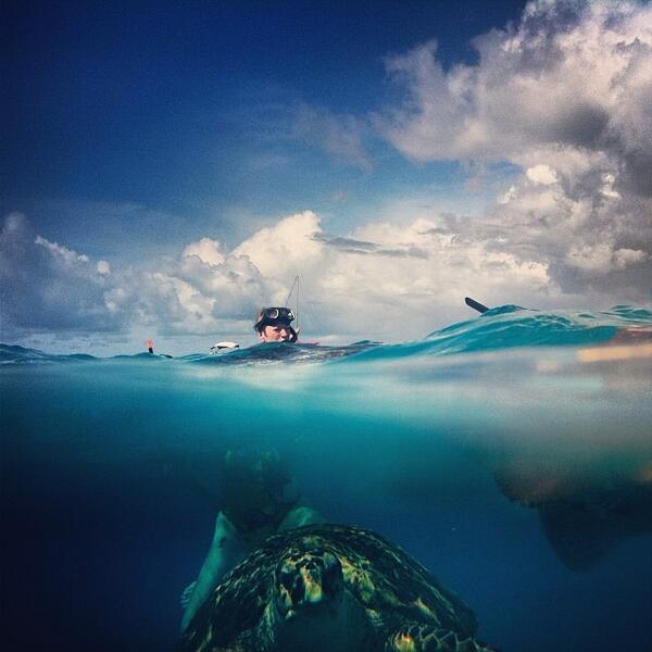 Swimming with turtles in Barbados